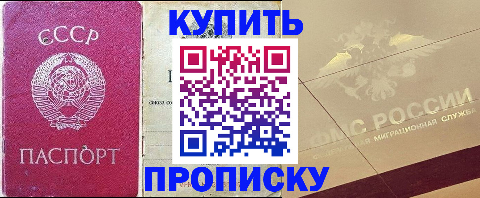 прописка для школы в Камне-на-Оби